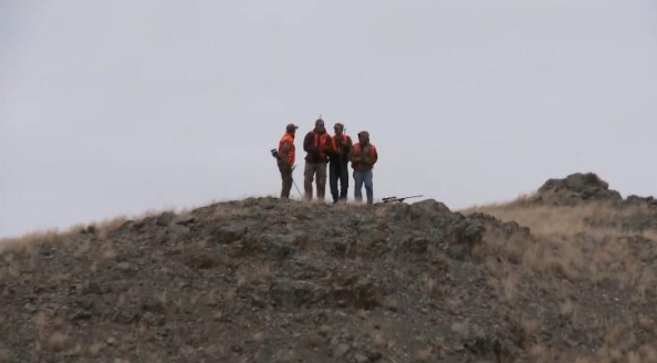 黄石公园守卫者  第3季  Yellowstone Wardens