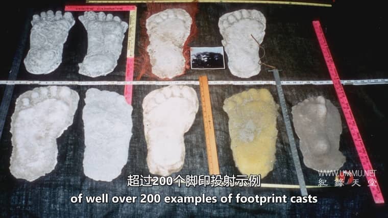 远古外星人 第20季 Ancient Aliens