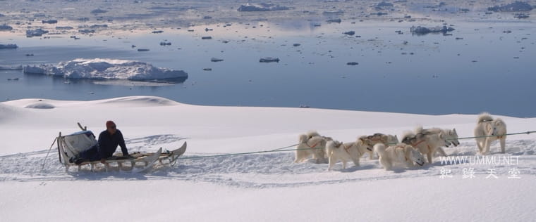 极地一年 A Polar Year