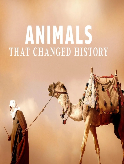 改变历史的动物 Animals that Changed History