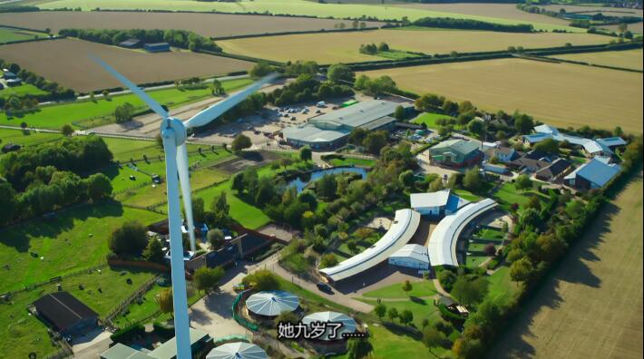 狗狗之家  第3季  The Dog House