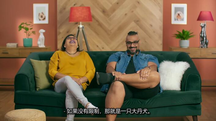 狗狗之家  第3季  The Dog House