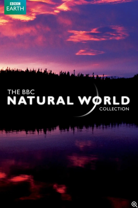 大象洞穴 Elephant Cave