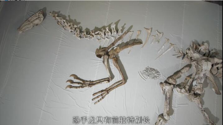 恐龙超世界 第一季