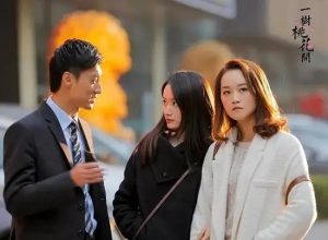 电视剧《一树桃花开》42集电视剧恐怖惊悚电影影视解说自媒体素材文案/片源下载（完结）