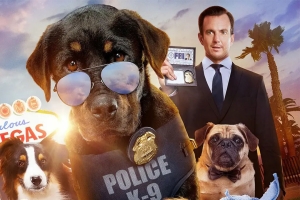 喜剧电影《汪星卧底》恐怖惊悚电影影视解说自媒体素材文案/片源下载