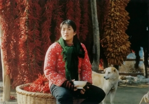 剧情电影《秋菊打官司》恐怖惊悚电影影视解说自媒体素材文案/片源下载