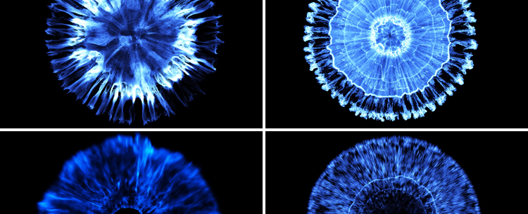 炫酷爆炸能量冲击波魔幻扩散开合成pr_ae特效mov透明通道视频素材