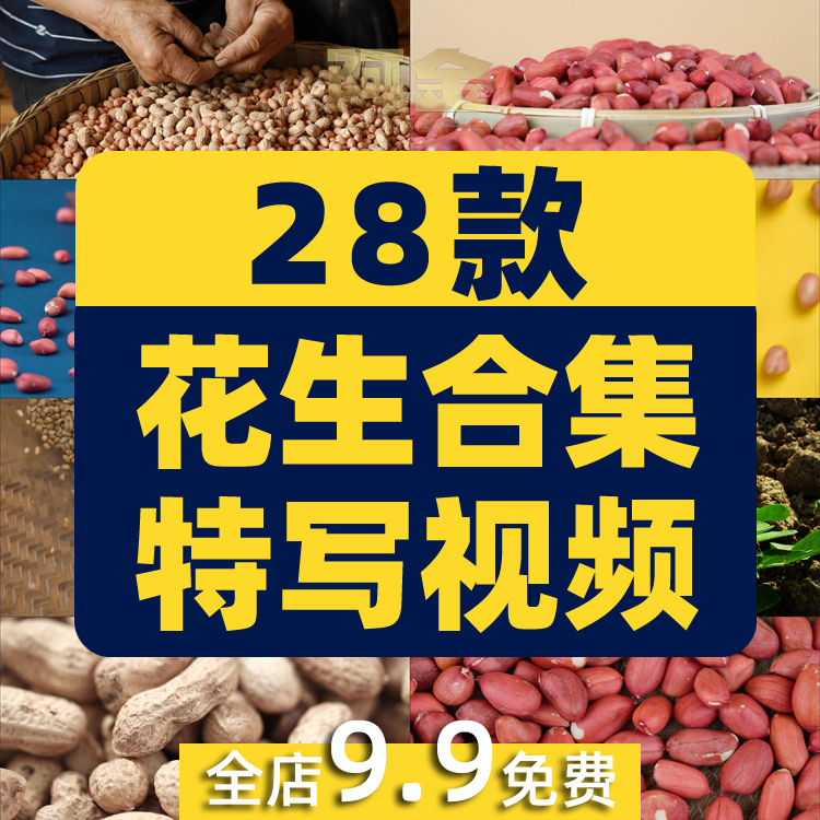 花生合集特写花生米有机带壳粒抖音短视频自媒体高清实拍素材剪辑