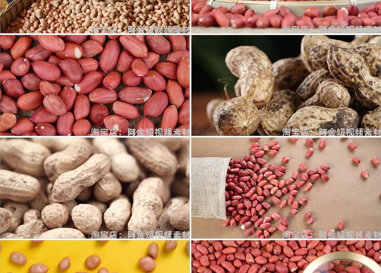 花生合集特写花生米有机带壳粒抖音短视频自媒体高清实拍素材剪辑