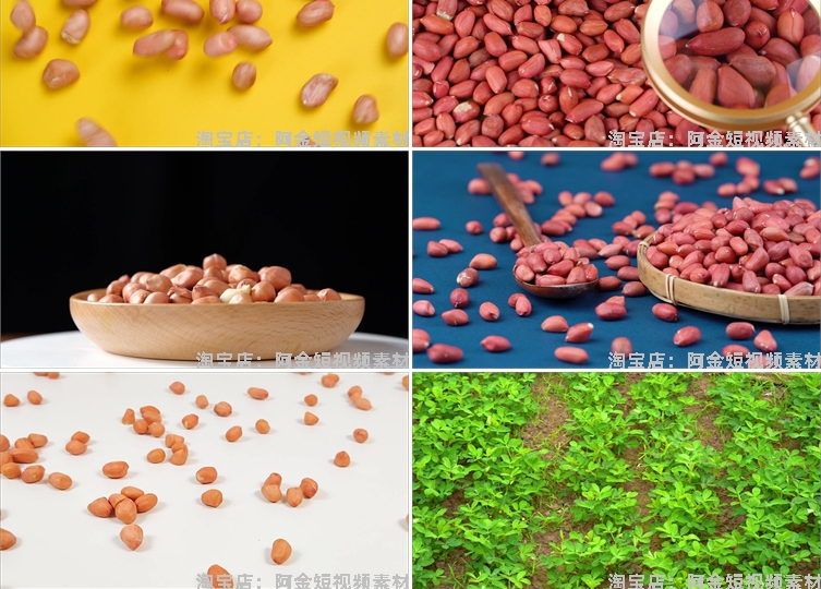 花生合集特写花生米有机带壳粒抖音短视频自媒体高清实拍素材剪辑