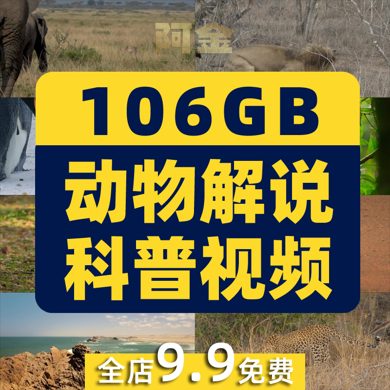 野生动物世界纪录片中视频解说科普视频4k国外觅食捕猎剪辑素材