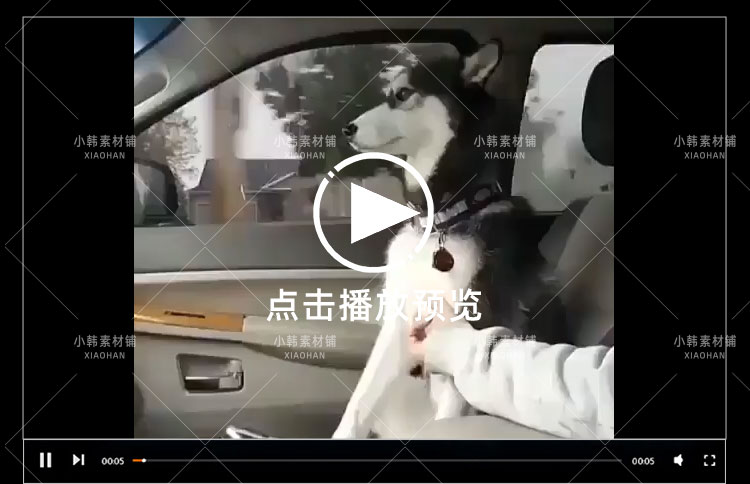 搞笑幽默动物宠物萌宠短视频设计素材可爱猫咪狗狗爆笑呆萌高清