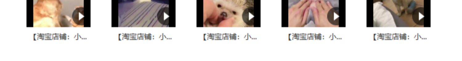 搞笑幽默动物宠物萌宠短视频设计素材可爱猫咪狗狗爆笑呆萌高清