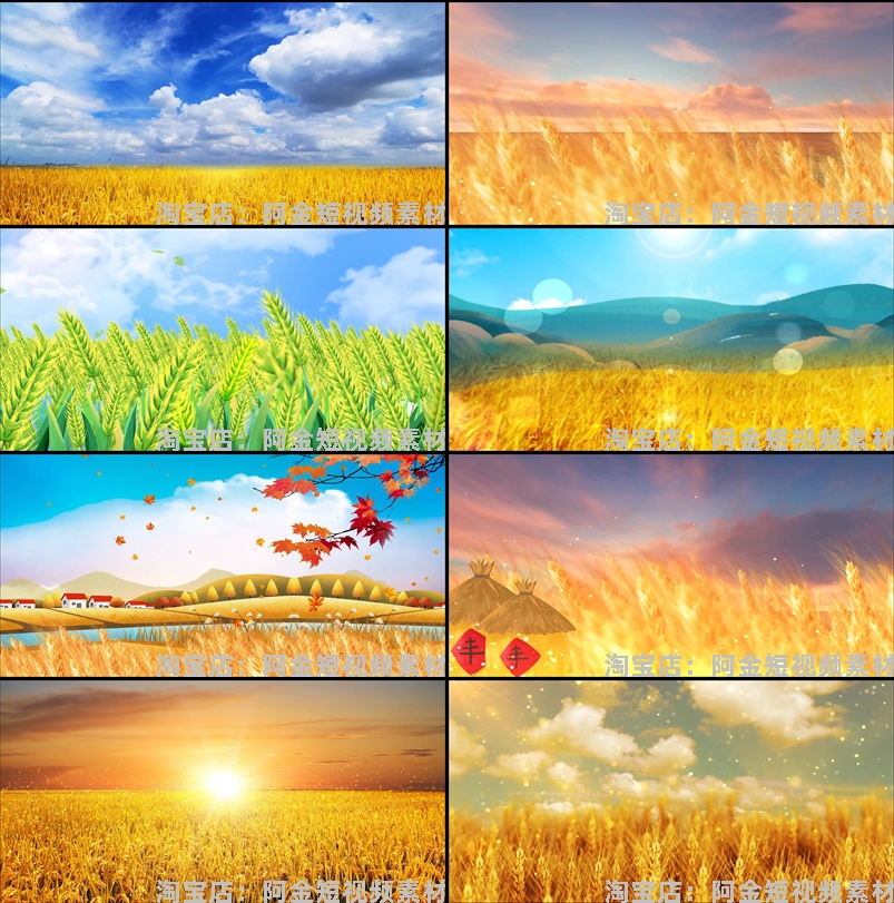 金色麦田麦穗麦浪秋天丰收屏幕舞台动感LED高清视频场景背景素材