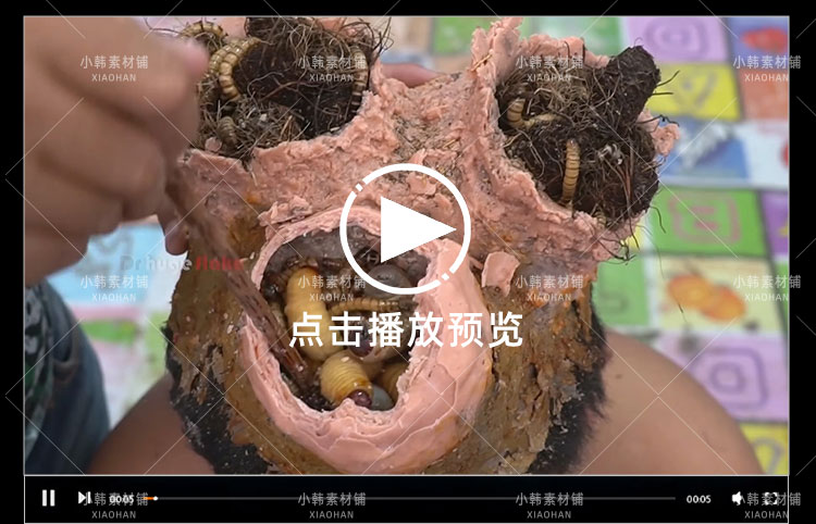 解压驱虫纪录片养虫护发全410集中视频自媒体解说高清视频素材