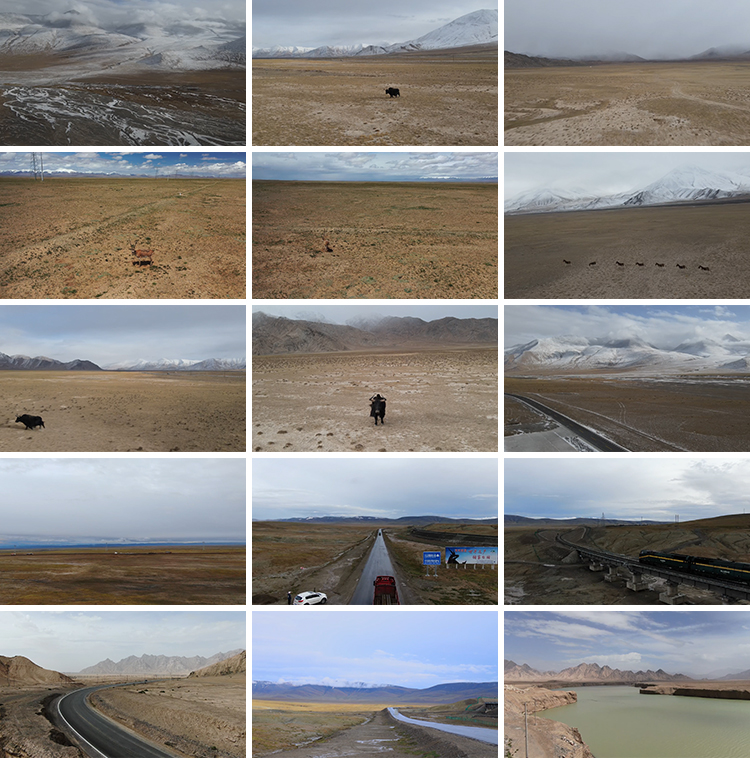 青海可可西里雪山自然保护区无人区牦牛野驴三江源玉珠峰视频素材