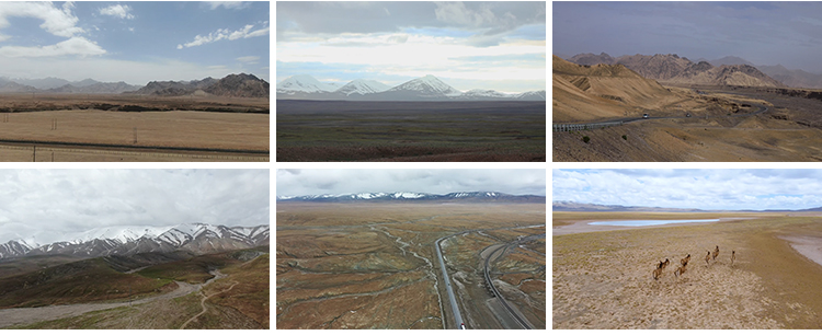 青海可可西里雪山自然保护区无人区牦牛野驴三江源玉珠峰视频素材