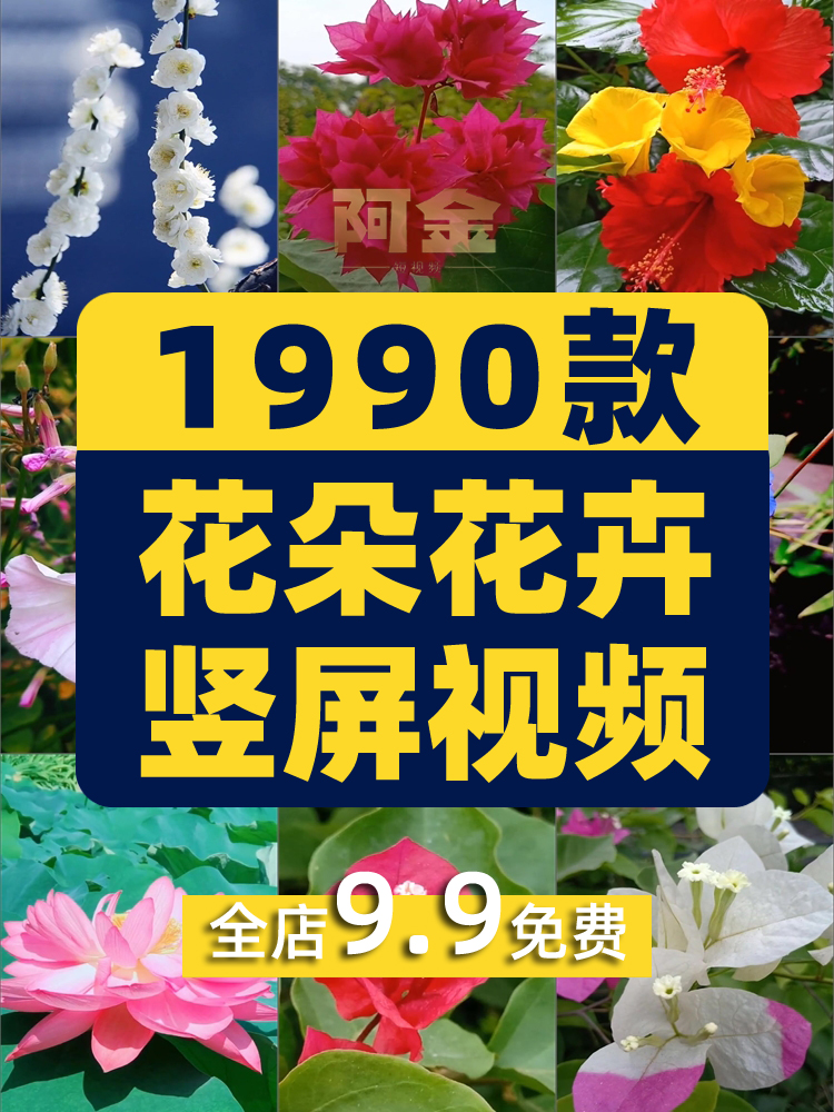 竖屏花朵花卉花开风景素材高清旅游自然唯美治愈系短视频背景剪辑