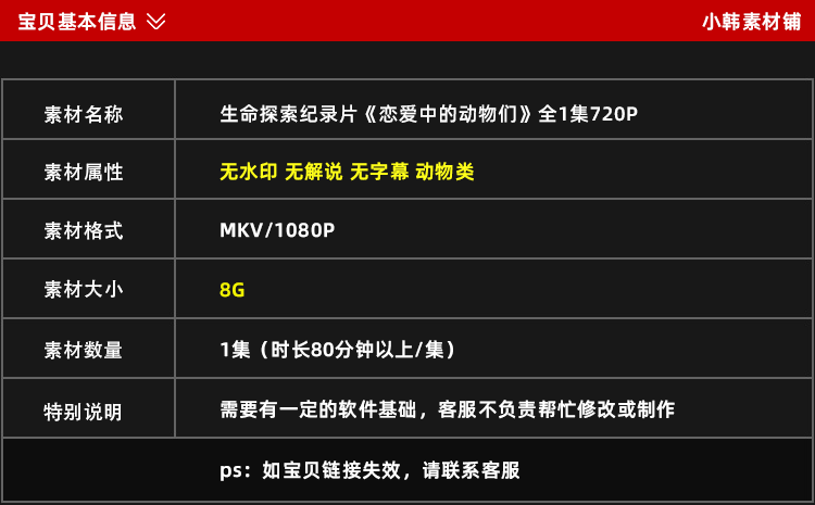 生命探索纪录片恋爱中的动物们中视频自媒体解说高清剪辑视频素材