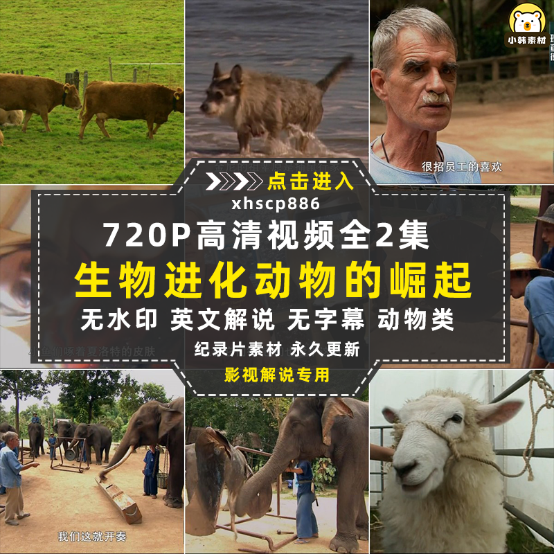 BBC生物进化纪录片《动物的崛起》中视频自媒体解说高清视频素材