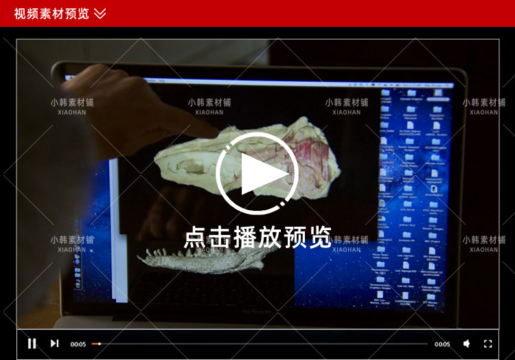 BBC生物进化纪录片《动物的崛起》中视频自媒体解说高清视频素材