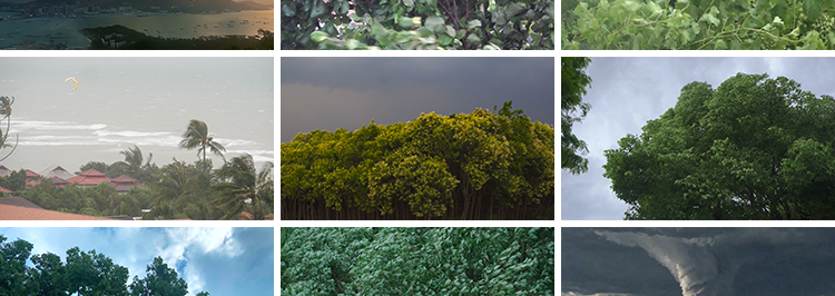 台风海啸海浪自然灾害飓风暴风洪水龙卷风卫星恶劣天气短视频素材