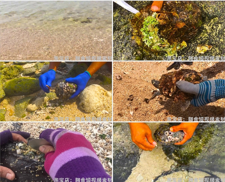 手工清理刮藤壶高清横屏国外自媒体解压视频中长小说推文素材引流