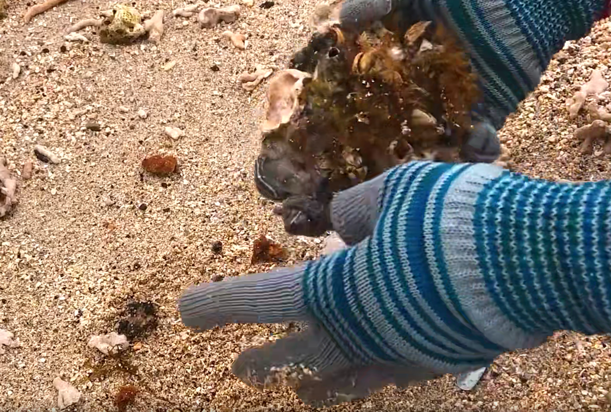 手工清理刮藤壶高清横屏国外自媒体解压视频中长小说推文素材引流