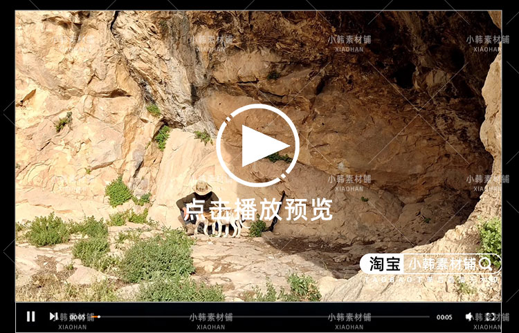 徒手搭建末日避难所山洞野炊4K自媒体电影解说抖音短视频素材