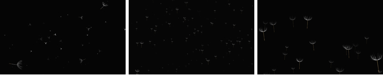 唯美蒲公英飞舞上升飘落漂浮特效后期合成带透明通道MOV视频素材