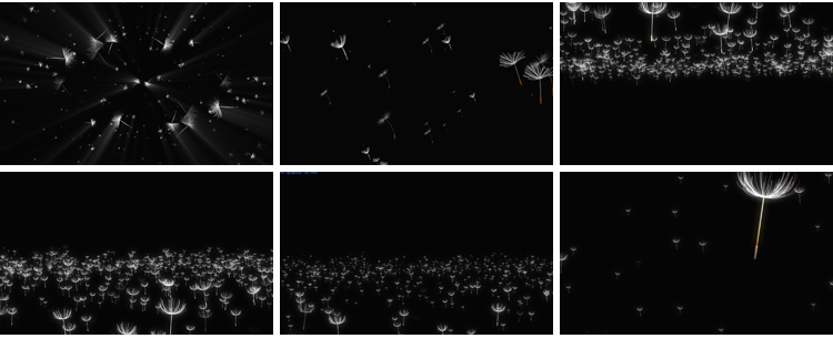 唯美蒲公英飞舞上升飘落漂浮特效后期合成带透明通道MOV视频素材