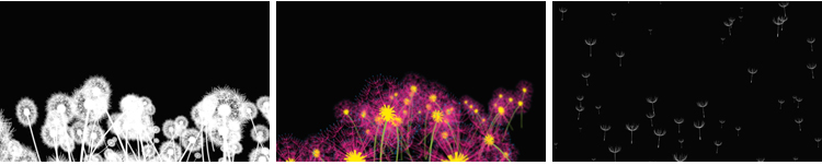 唯美蒲公英飞舞上升飘落漂浮特效后期合成带透明通道MOV视频素材