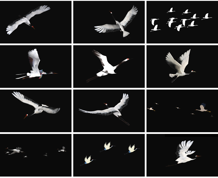 白色仙鹤飞鹤群鹤飞翔带alpha透明通道ae_pr后期合成特效视频素材