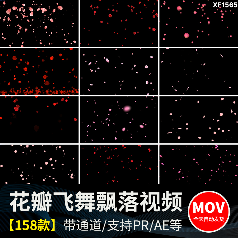 花瓣花朵飞舞飘落动态桃花玫瑰花特效动画pr_ae透明通道视频素材