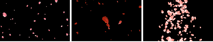 花瓣花朵飞舞飘落动态桃花玫瑰花特效动画pr_ae透明通道视频素材