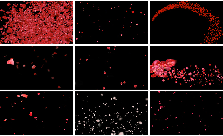 花瓣花朵飞舞飘落动态桃花玫瑰花特效动画pr_ae透明通道视频素材