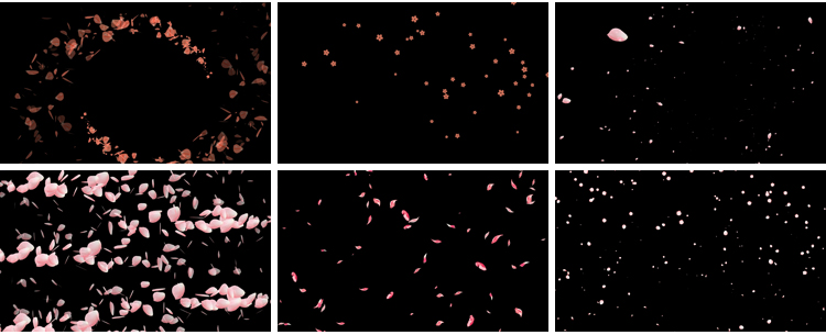 花瓣花朵飞舞飘落动态桃花玫瑰花特效动画pr_ae透明通道视频素材