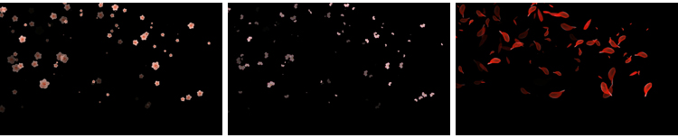 花瓣花朵飞舞飘落动态桃花玫瑰花特效动画pr_ae透明通道视频素材