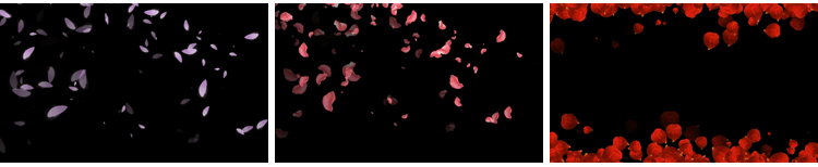 花瓣花朵飞舞飘落动态桃花玫瑰花特效动画pr_ae透明通道视频素材