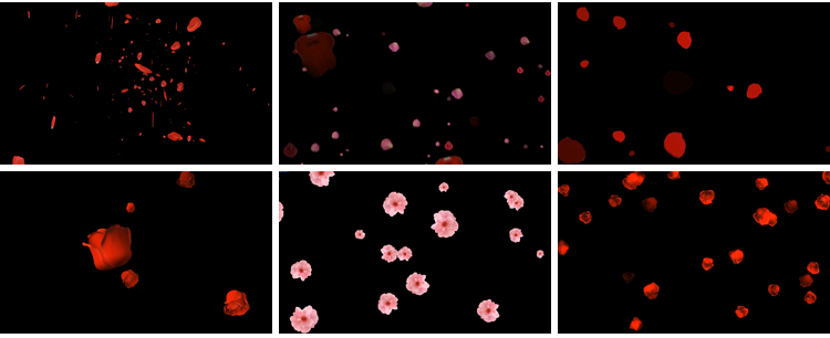 花瓣花朵飞舞飘落动态桃花玫瑰花特效动画pr_ae透明通道视频素材