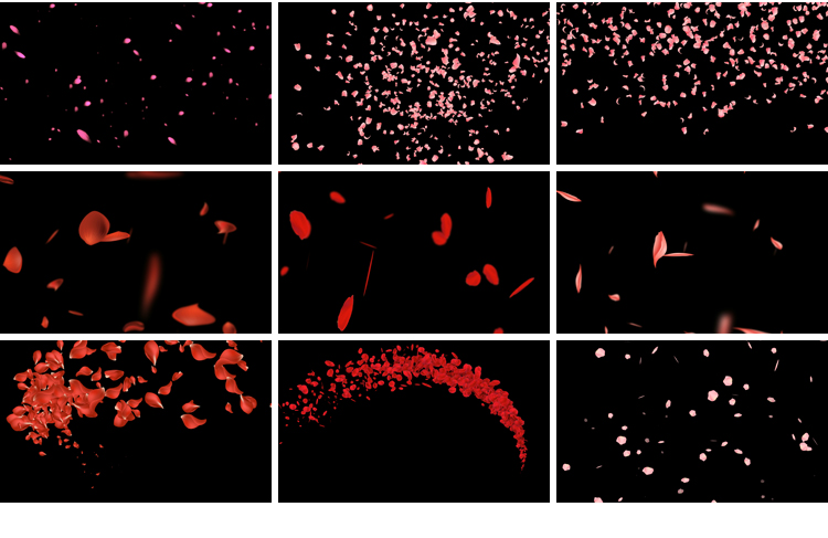 花瓣花朵飞舞飘落动态桃花玫瑰花特效动画pr_ae透明通道视频素材