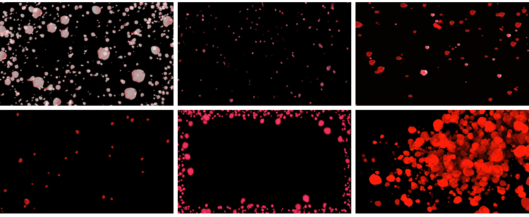花瓣花朵飞舞飘落动态桃花玫瑰花特效动画pr_ae透明通道视频素材