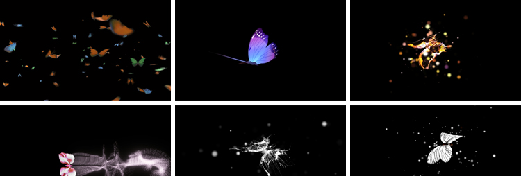 蝴蝶飞舞拖尾效果粒子后期特效合成动态pr_ae通道透明底视频素材