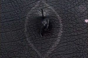 精选115个日常生活小妙招短视频视频素材–第7波