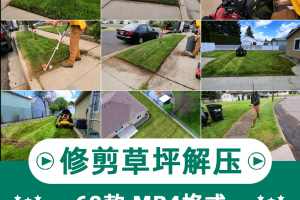 修剪草坪减压太空沙木工修剪草坪书单号文案搭配解压视频素材