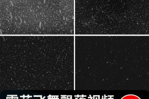 下雪雪花飘落大雪飞舞暴风雪景唯美特效ae_pr带透明通道视频素材