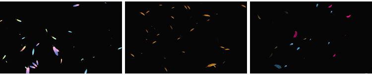 白色羽毛飘落掉落飘落彩色飞舞元素特效果透明通道pr_ae视频素材