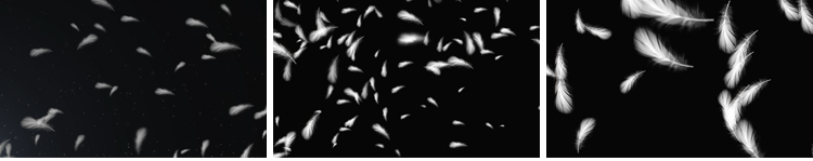 白色羽毛飘落掉落飘落彩色飞舞元素特效果透明通道pr_ae视频素材