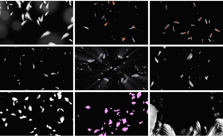 白色羽毛飘落掉落飘落彩色飞舞元素特效果透明通道pr_ae视频素材